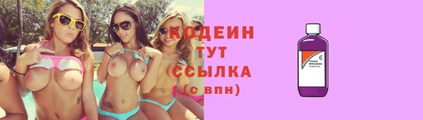 прущий лед Бородино