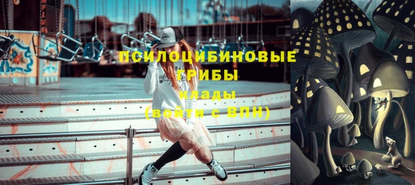 прущий лед Бородино
