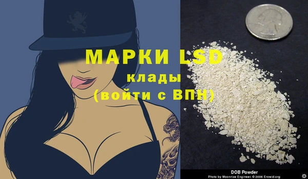 прущий лед Бородино