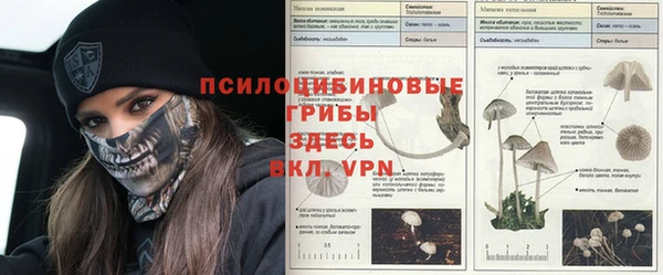 прущий лед Бородино