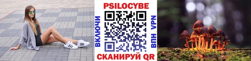Купить  Михайловка  Галлюциногенные грибы GOLDEN TEACHER 